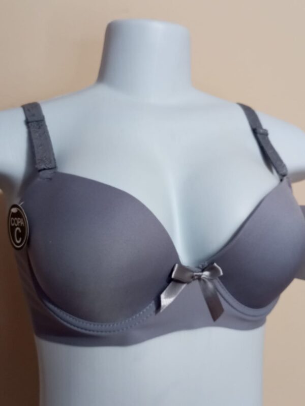 Conjunto lencería sin costura con tiras bordadas push up – T. 38/85 (C) + M/L - Imagen 2
